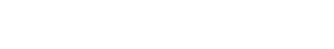 APP Consulting